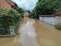 IMG 20240712 192956 thumb