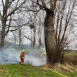 tn 24 12 31 13 46 50 9811