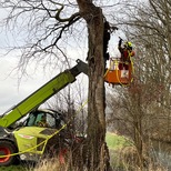 tn 24 12 31 14 22 46 9819