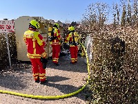 25 03 22 13 10 51 9033 thumb